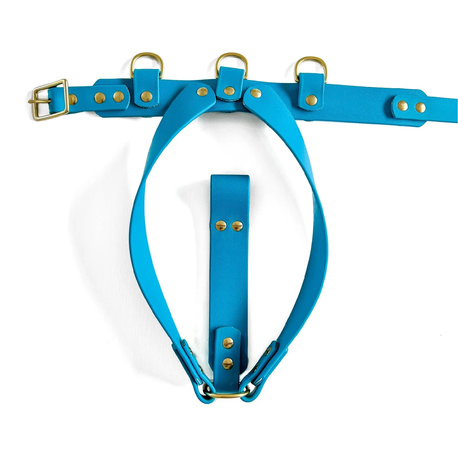 store-1-t4w-psychiatric-service-dog-training-service-dog-gear
