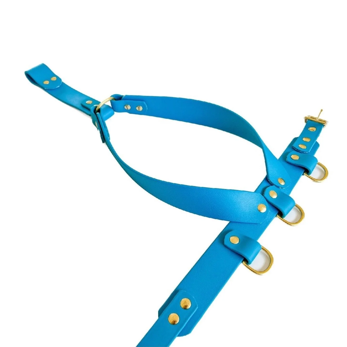 Store 1 T4W Psychiatric Service Dog Training Service Dog Gear store-1-t4w-psychiatric-service-dog-training-service-dog-gear