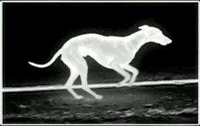 Vick Creative Portfolio