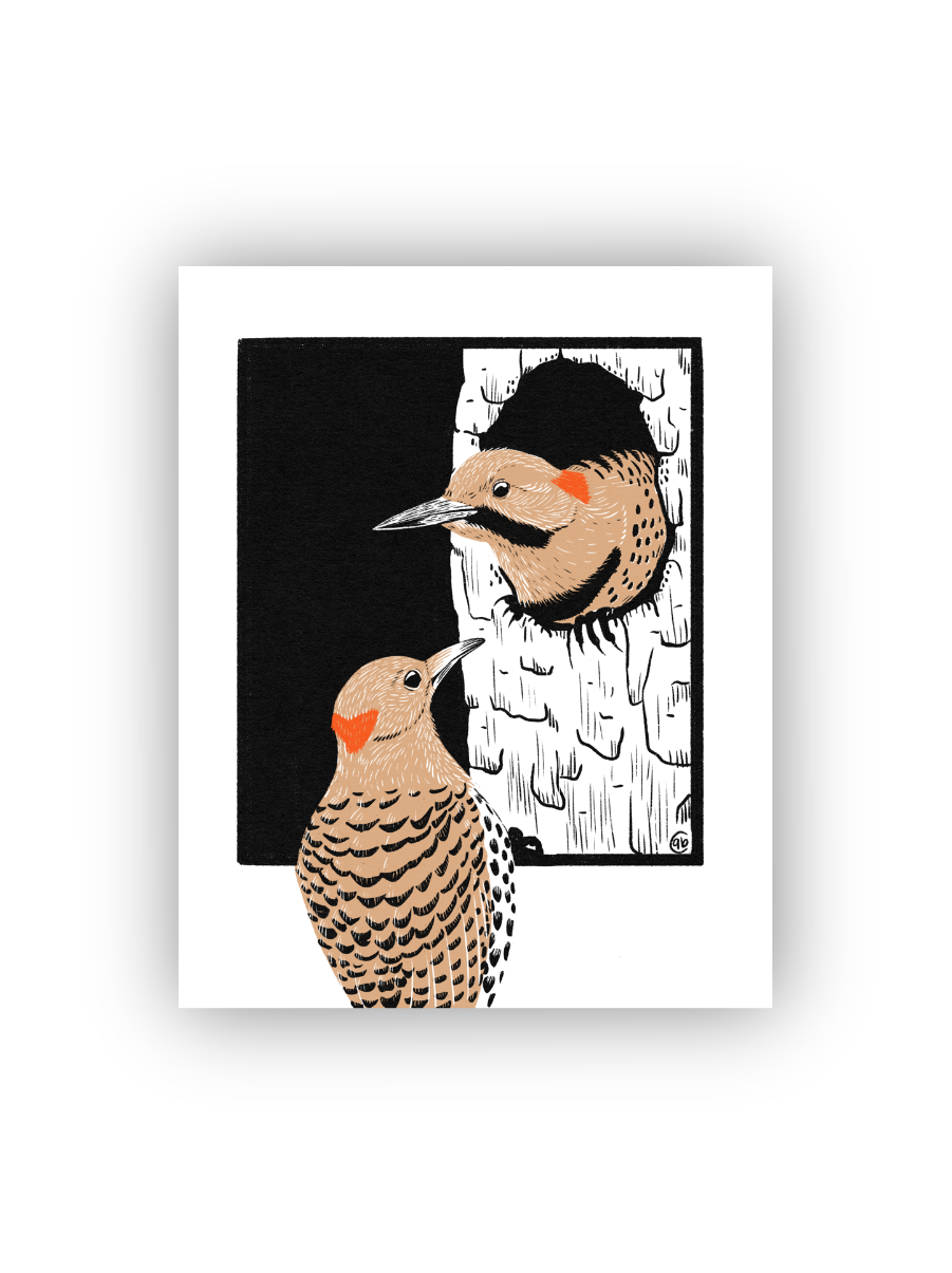 IMG_2725.png