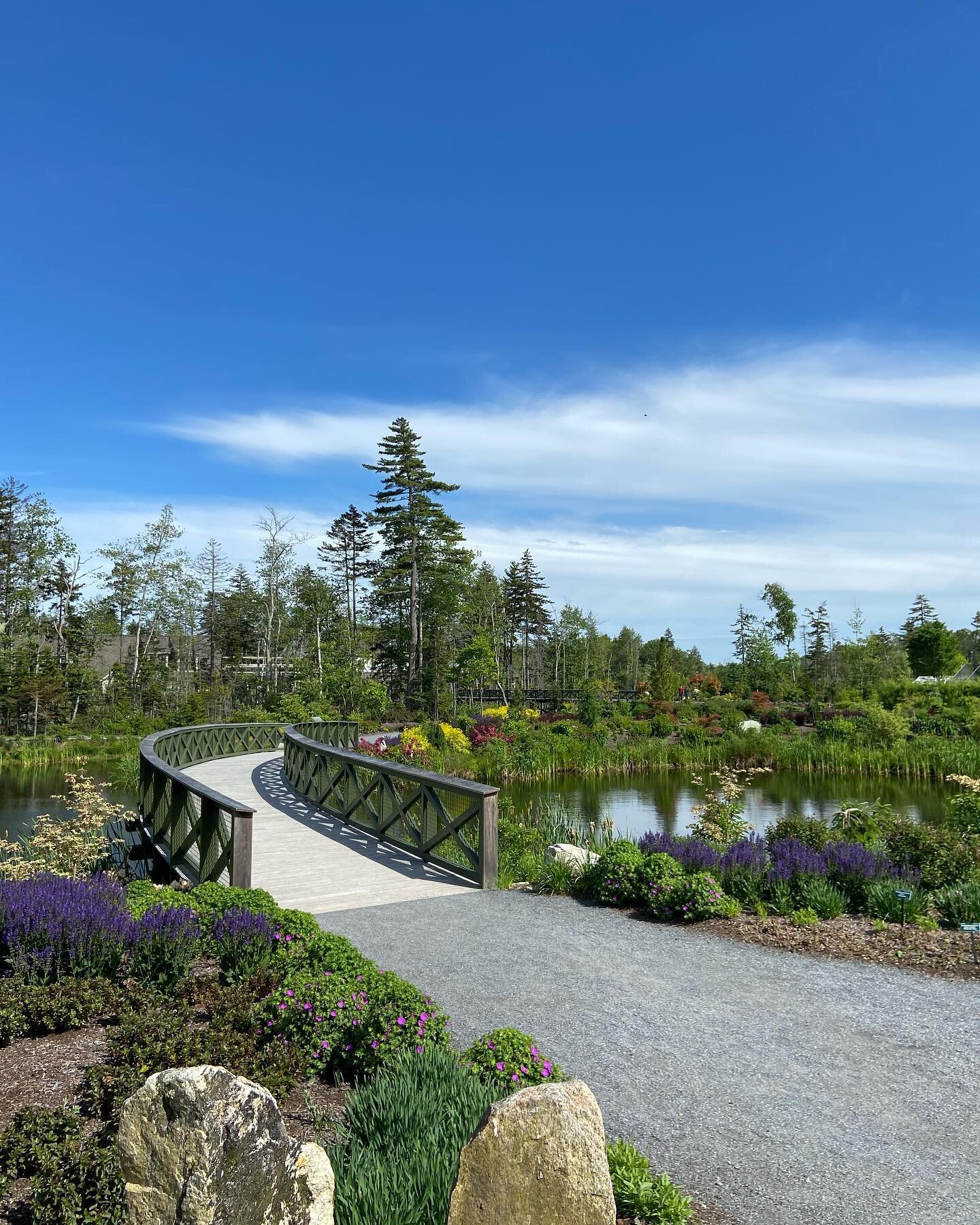 No filter needed for a day at the @coastalmainebotanicalgardens just an hour away from the inn. See if you can find all the trolls 🧌#westendinn #bedandbreakfast #inn #boothbayharbor