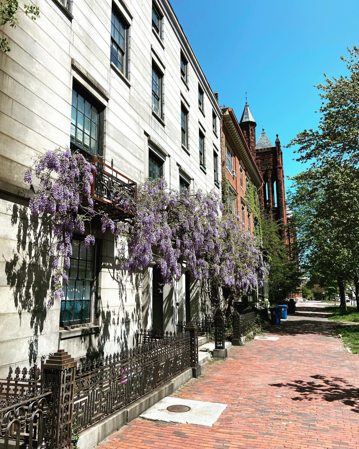 Just #portlandme things. 📍State Street #westendinn #bedandbreakfast #portlandmaine