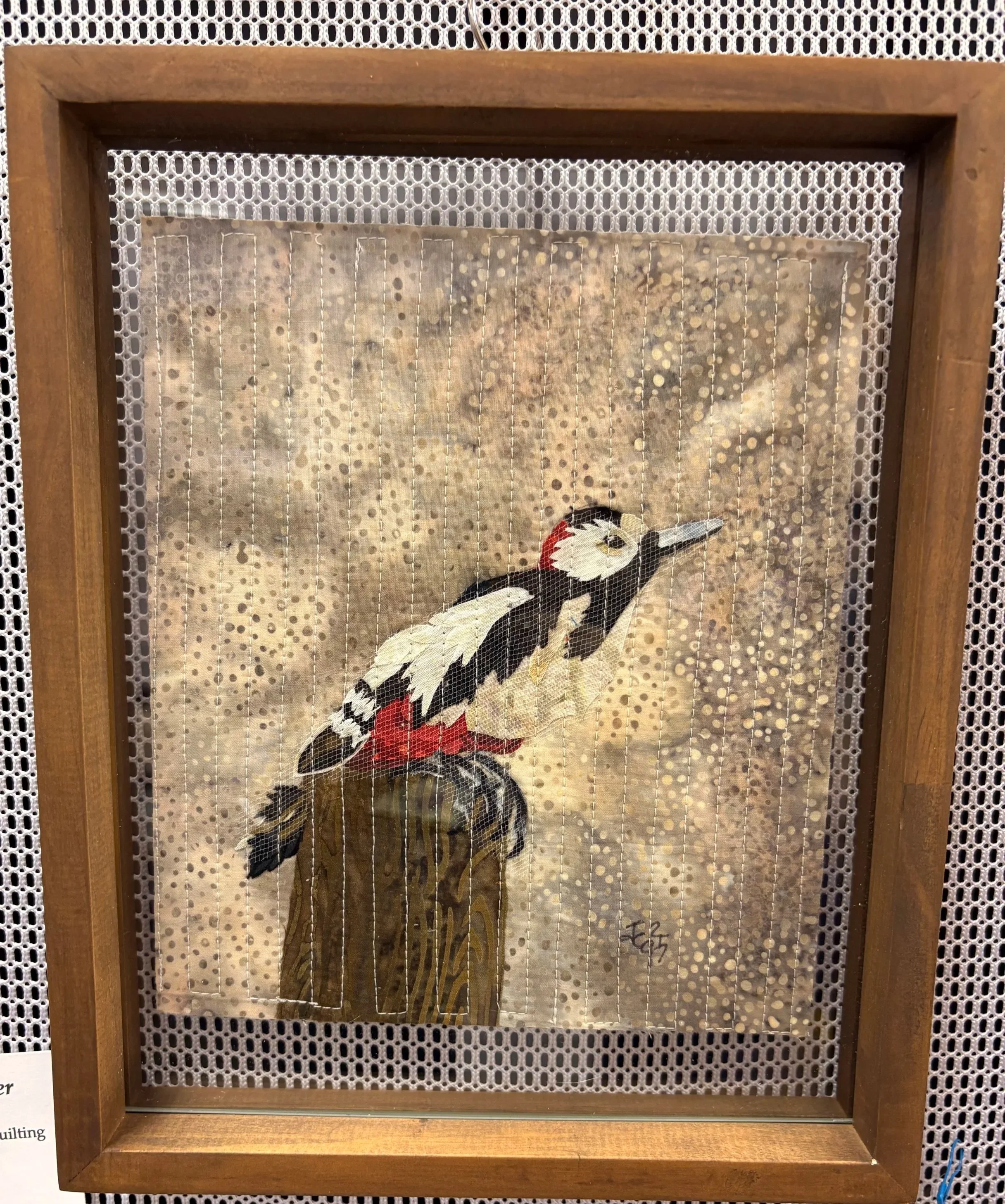 Downy Woodpecker, 2025. 7 x 9 inches; floating frame. SOLD