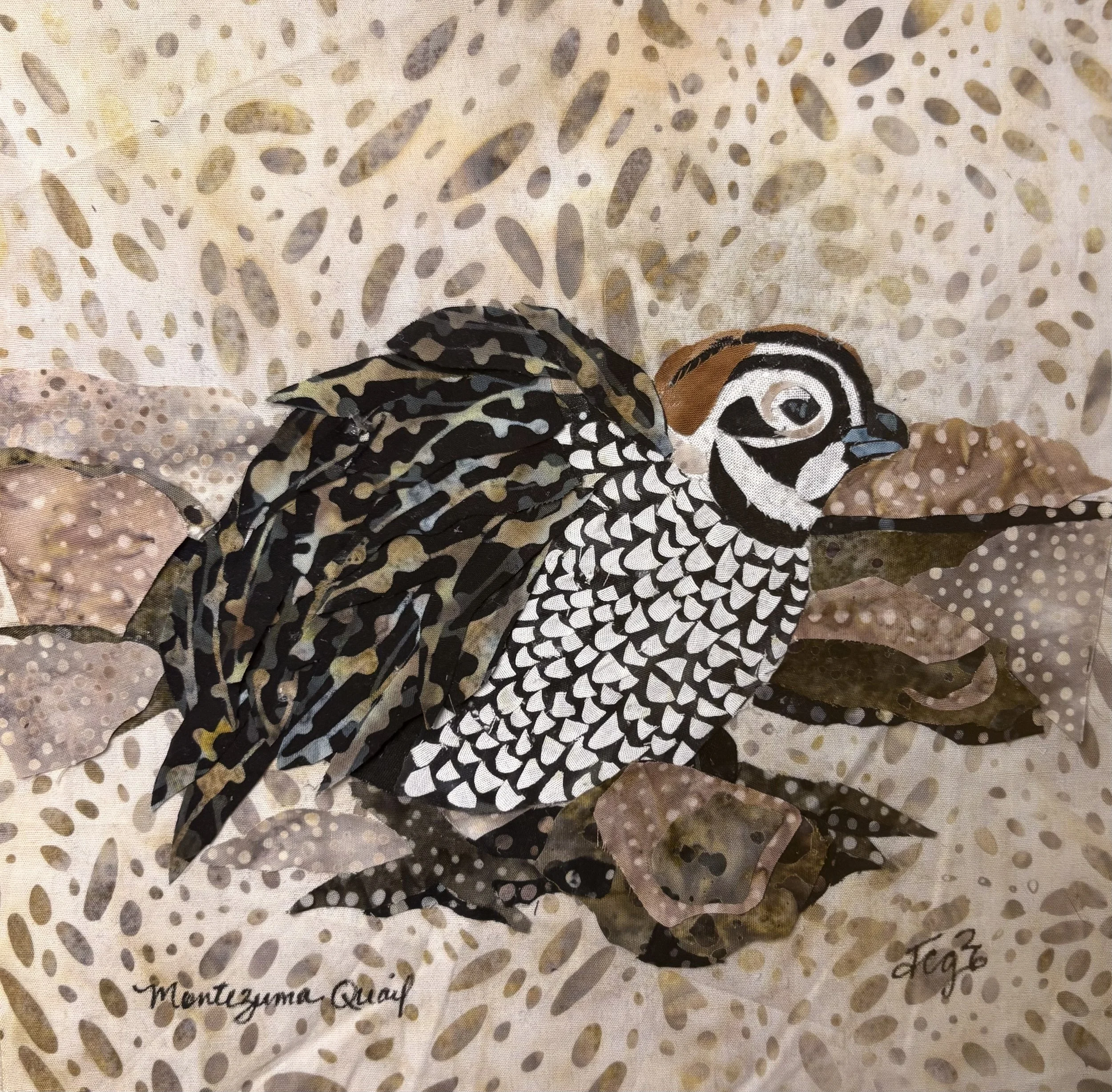 Montezuma Quail, 2026. 9 x 9 inches; shadow box framed. Not for Sale