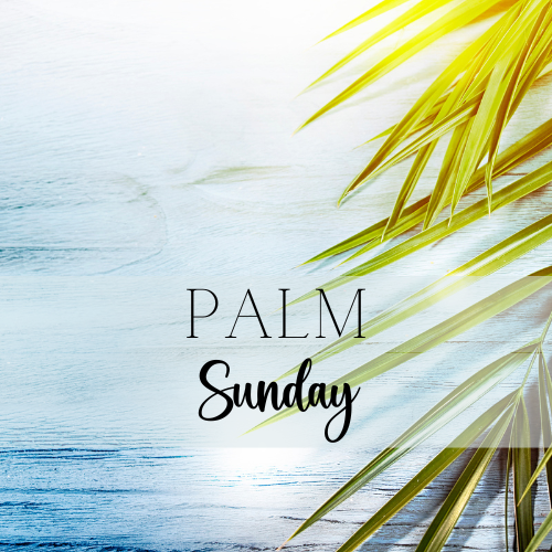 The Kingdom No One Expected - The King Who Comes Low