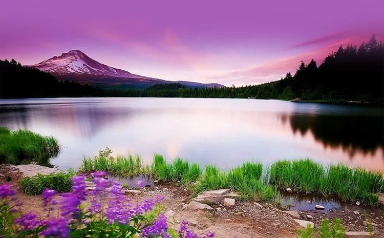 Group Consultation: Jane Reagan