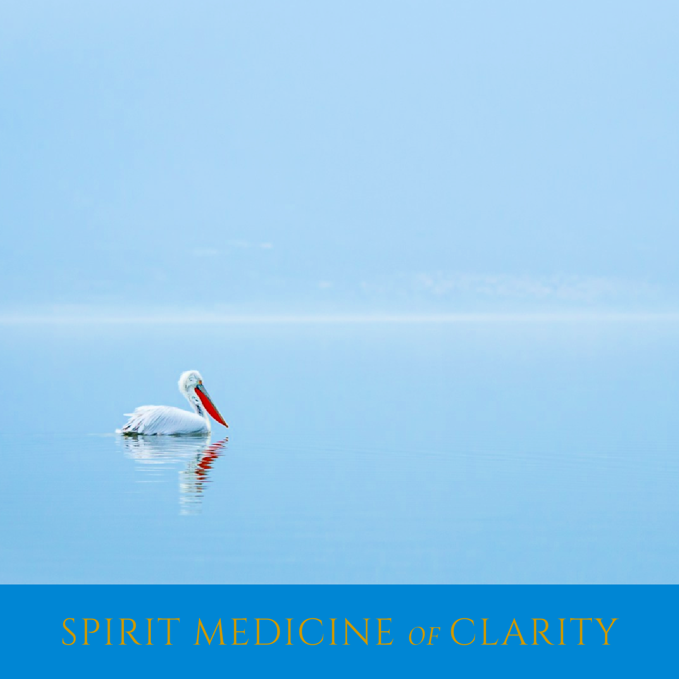 Live Call with NOMMY: Spirit Medicine of CLARITY