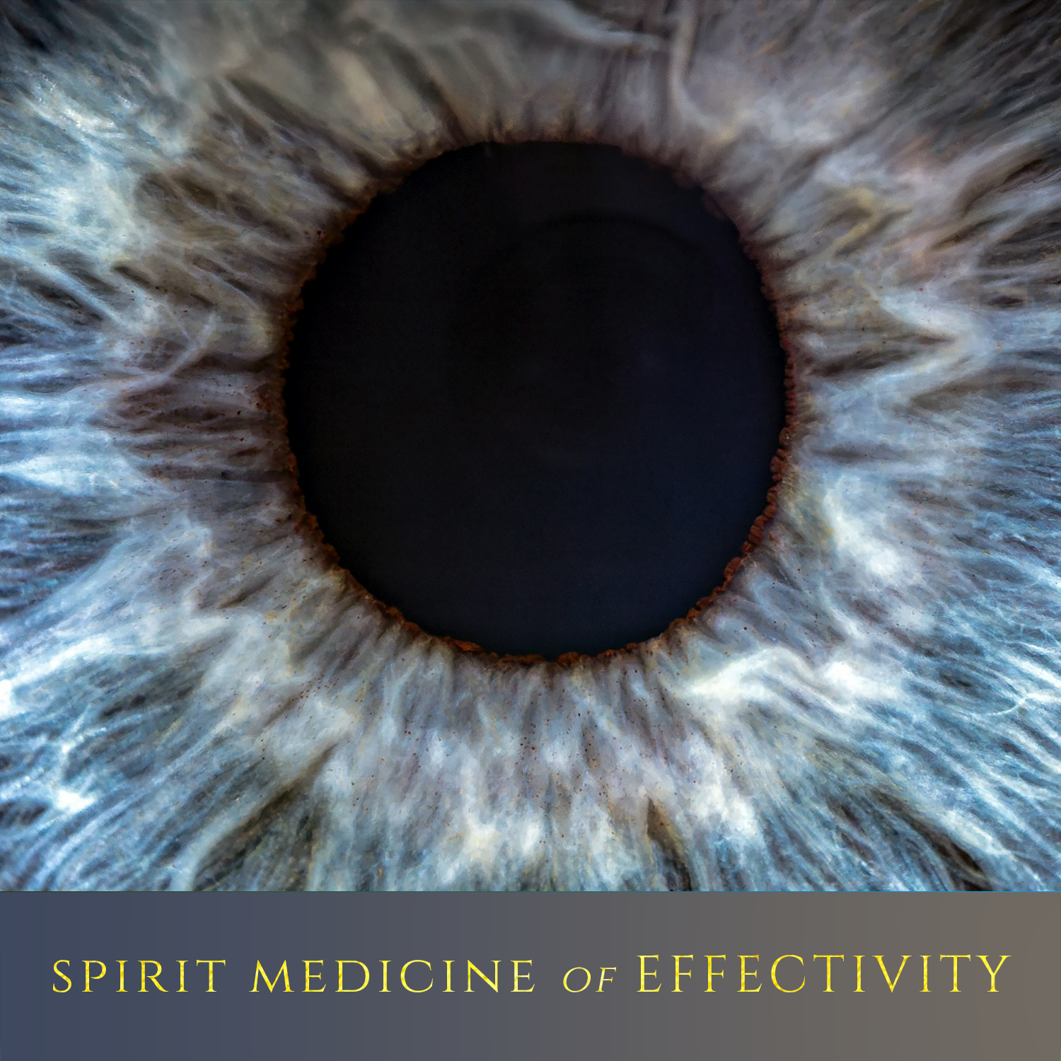 Live Call with NOMMY: Spirit Medicine of EFFECTIVITY