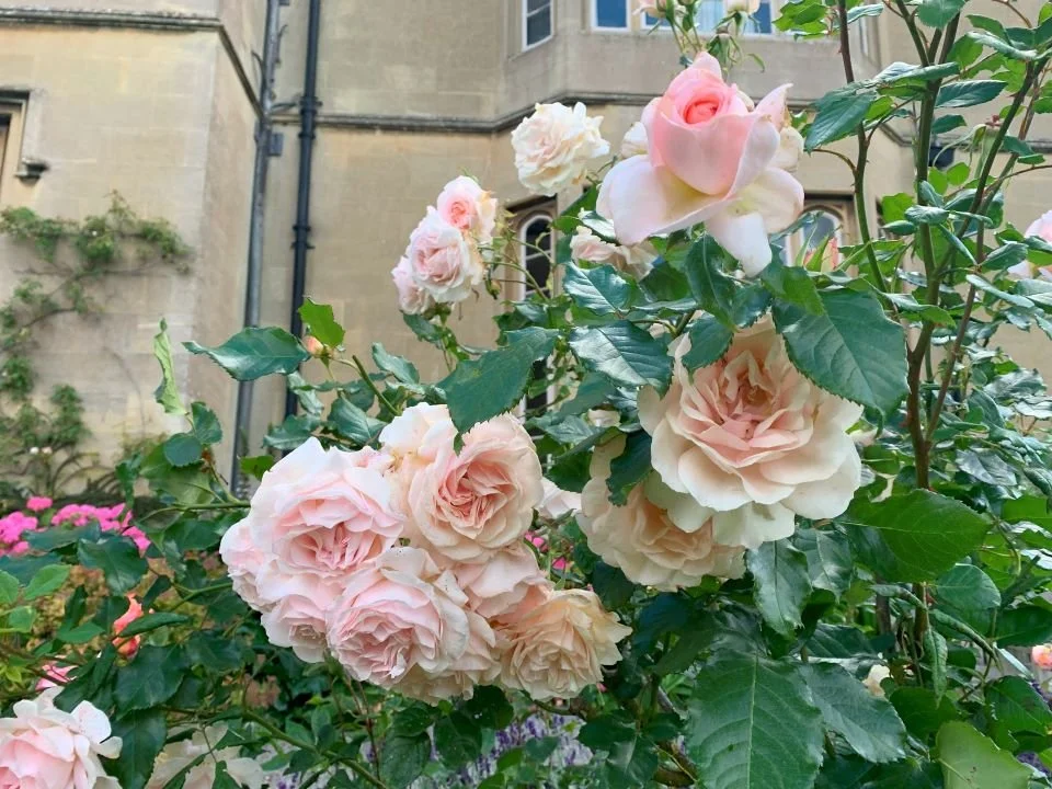 Meta Model Workshop, 8th and 9th August 2026