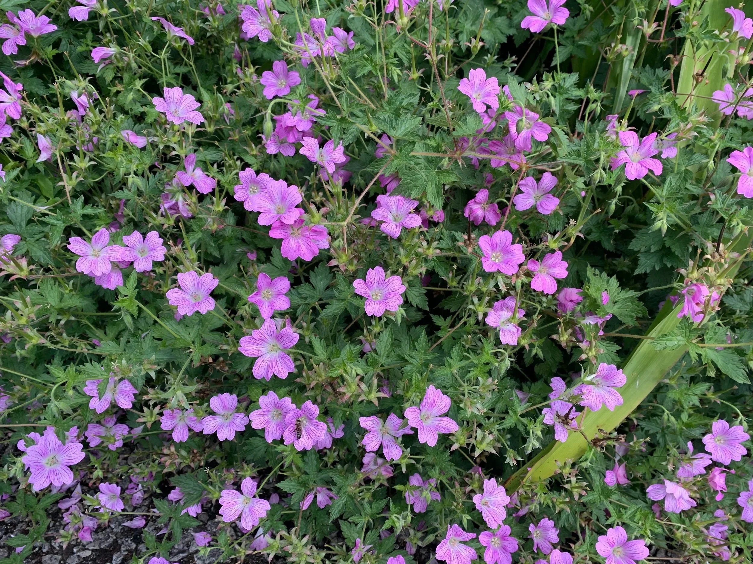 Milton Model Workshop, August 22nd and 23rd, 2026