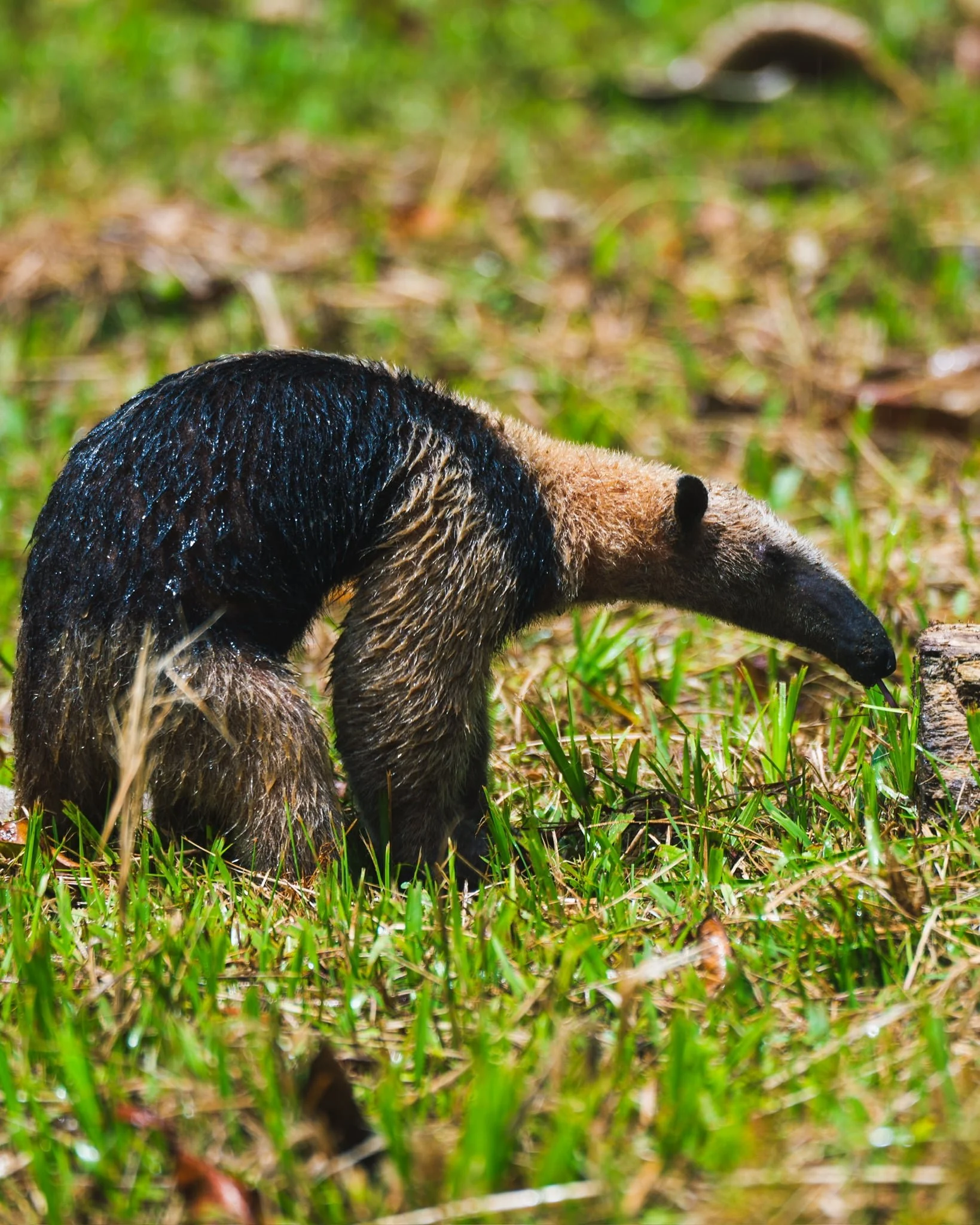 Forsidehero-1 2-min.JPG