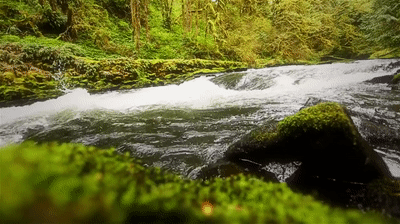 Private River tour