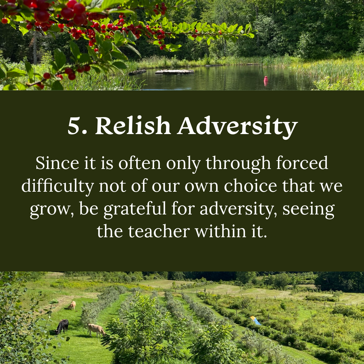 My project (4)00.PNG