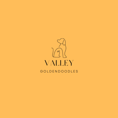 Valley Goldendoodles