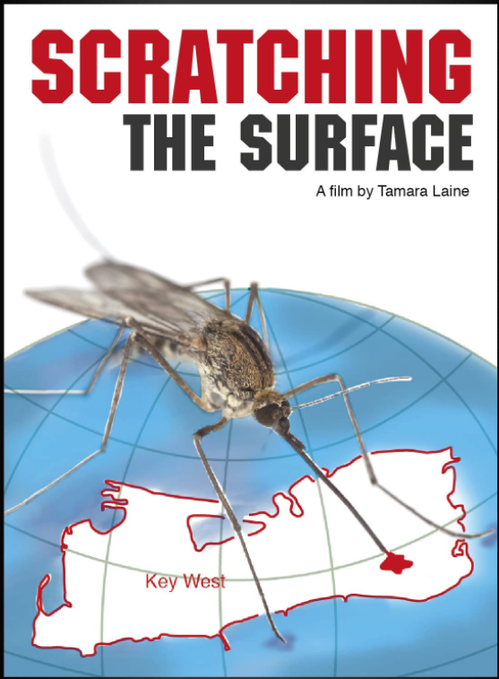 Documentary: Scratching the Surface