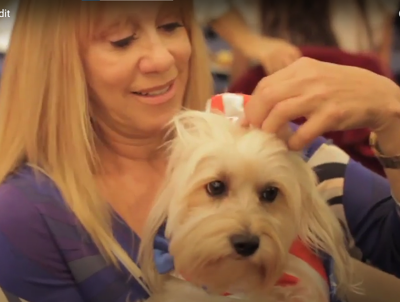 Red Carpet Interviews: K9 for Warriors