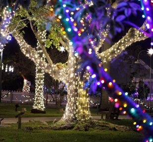Holiday Nights @ Edison Ford Estates