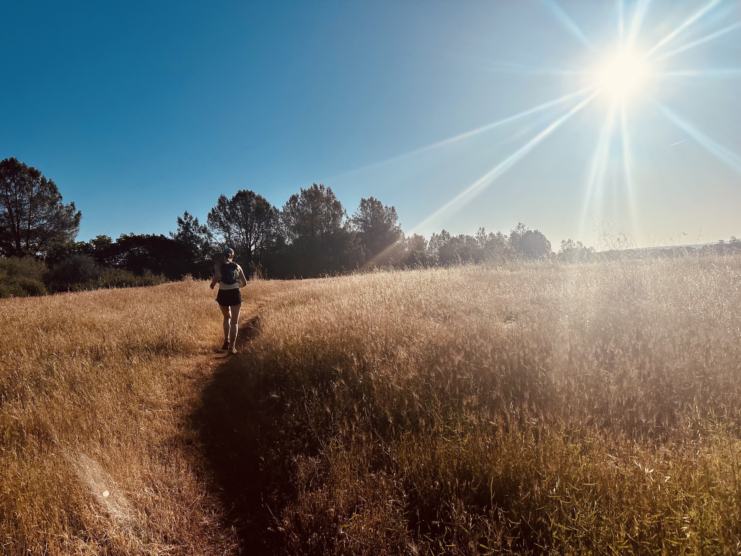 Running and Rhythmic Movement: How Bilateral Stimulation Supports Trauma Healing