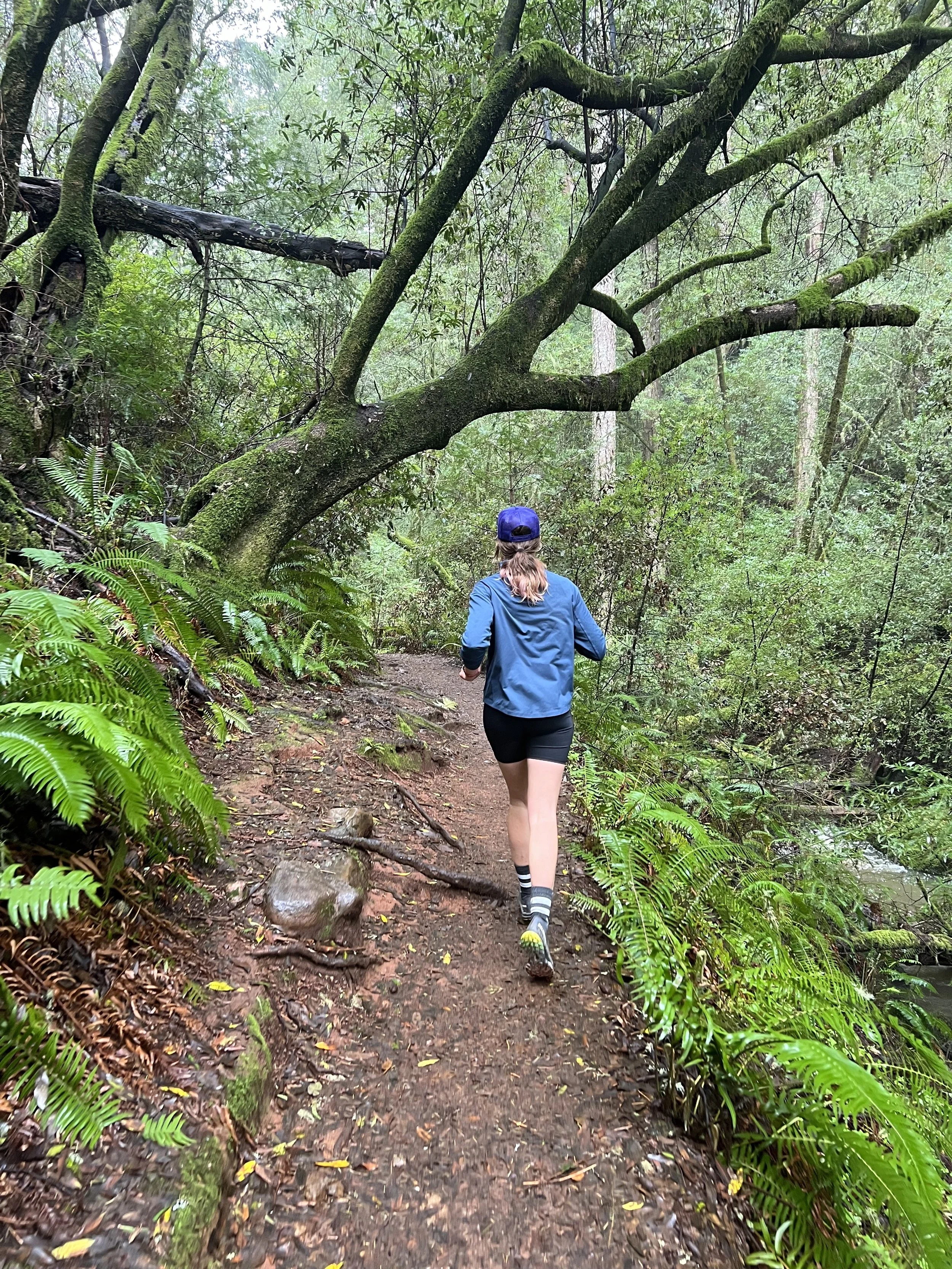 A trail runner moves through the trail system in Marin county, California. Dr. Amy Waldron provides EMDR therapy in San Francisco and Marin, CA.