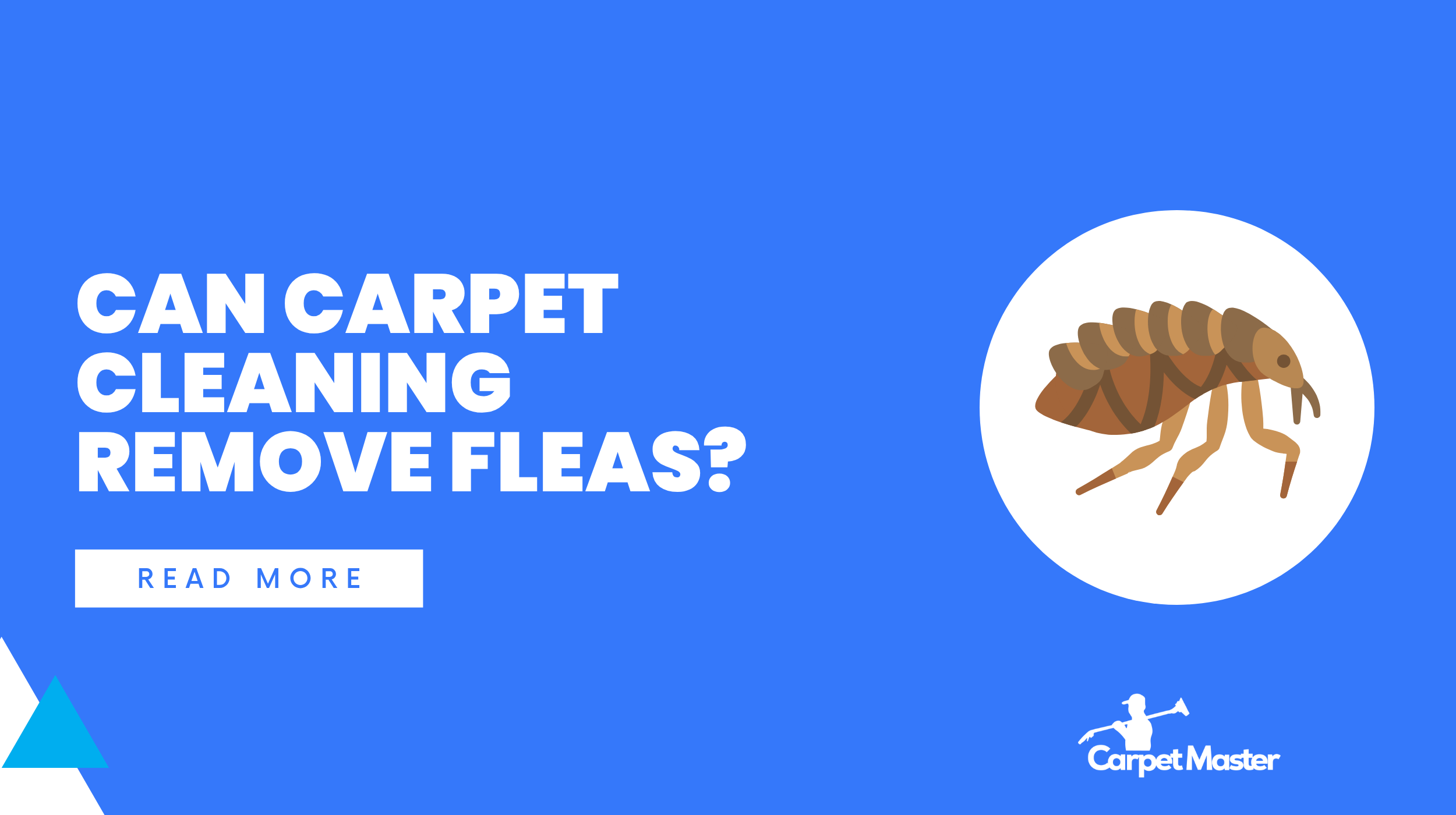 Can Carpet Cleaning Remove Fleas? What Actually Works?