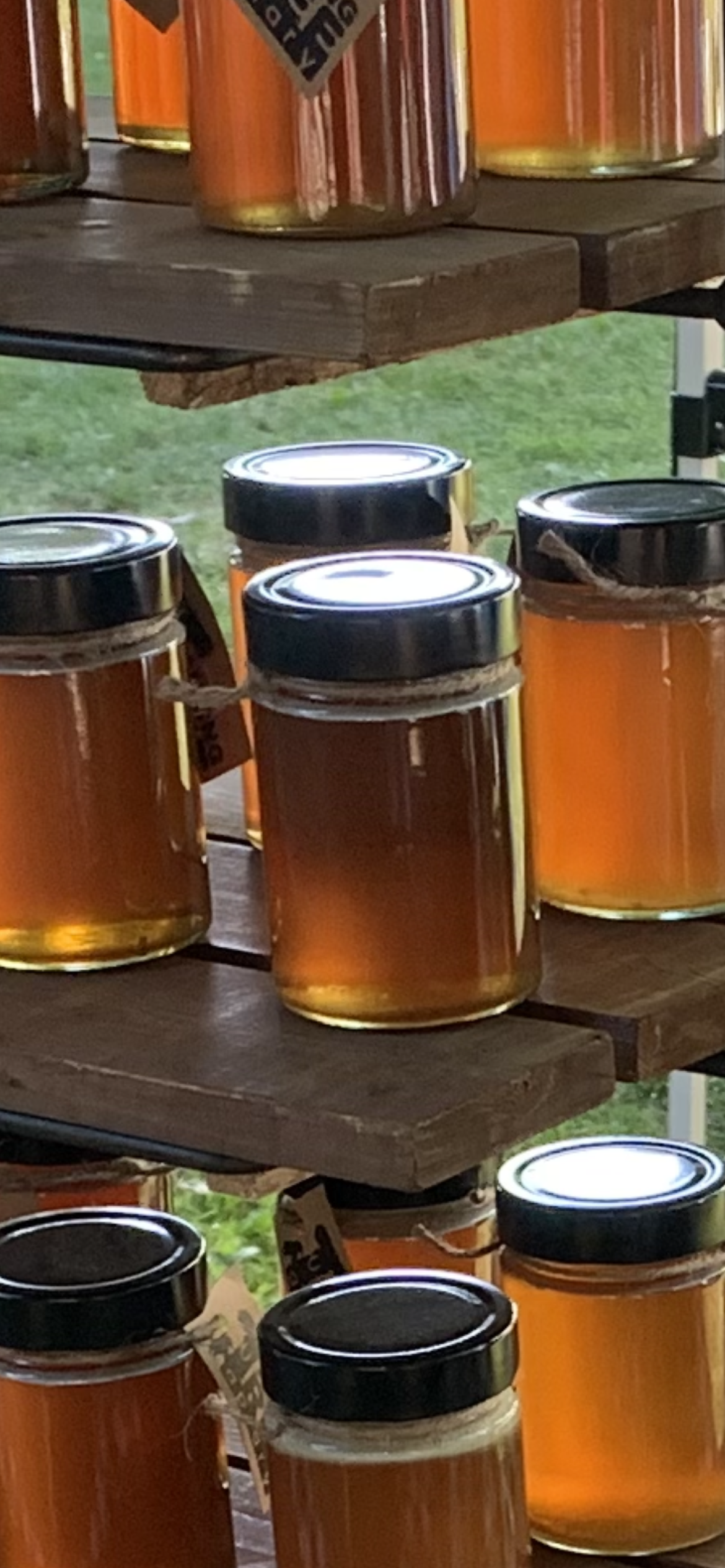 SEASONAL HONEY