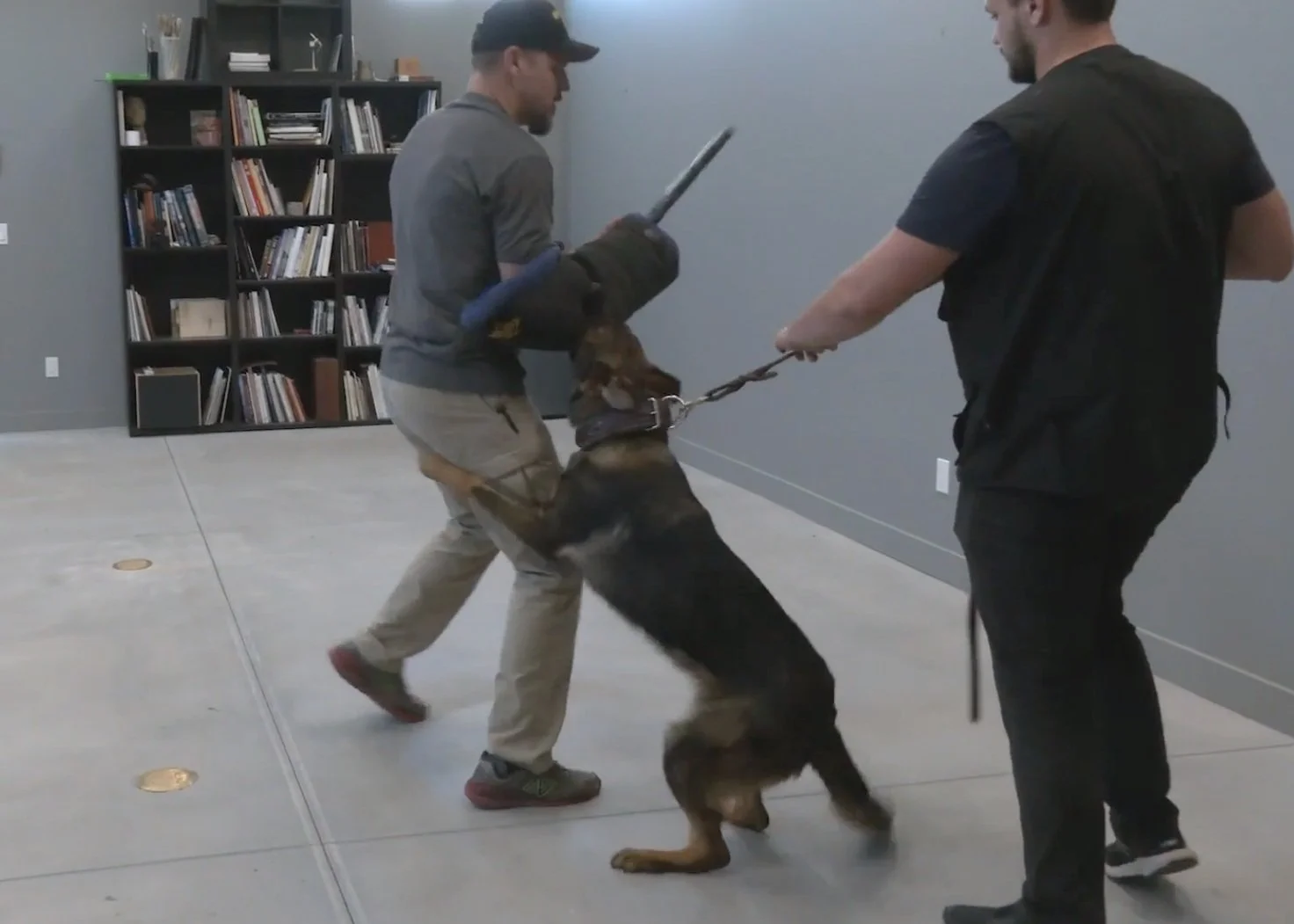 Personal Protection Dog Training — AlpineK9