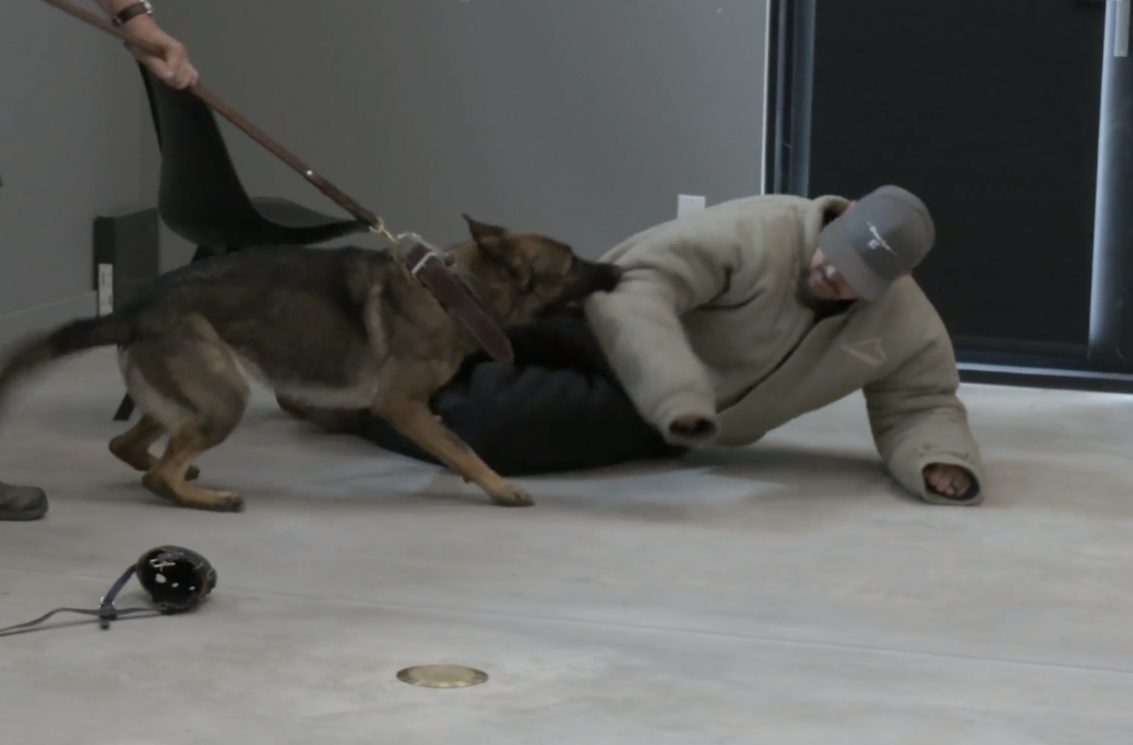 how to train personal protection dog 2