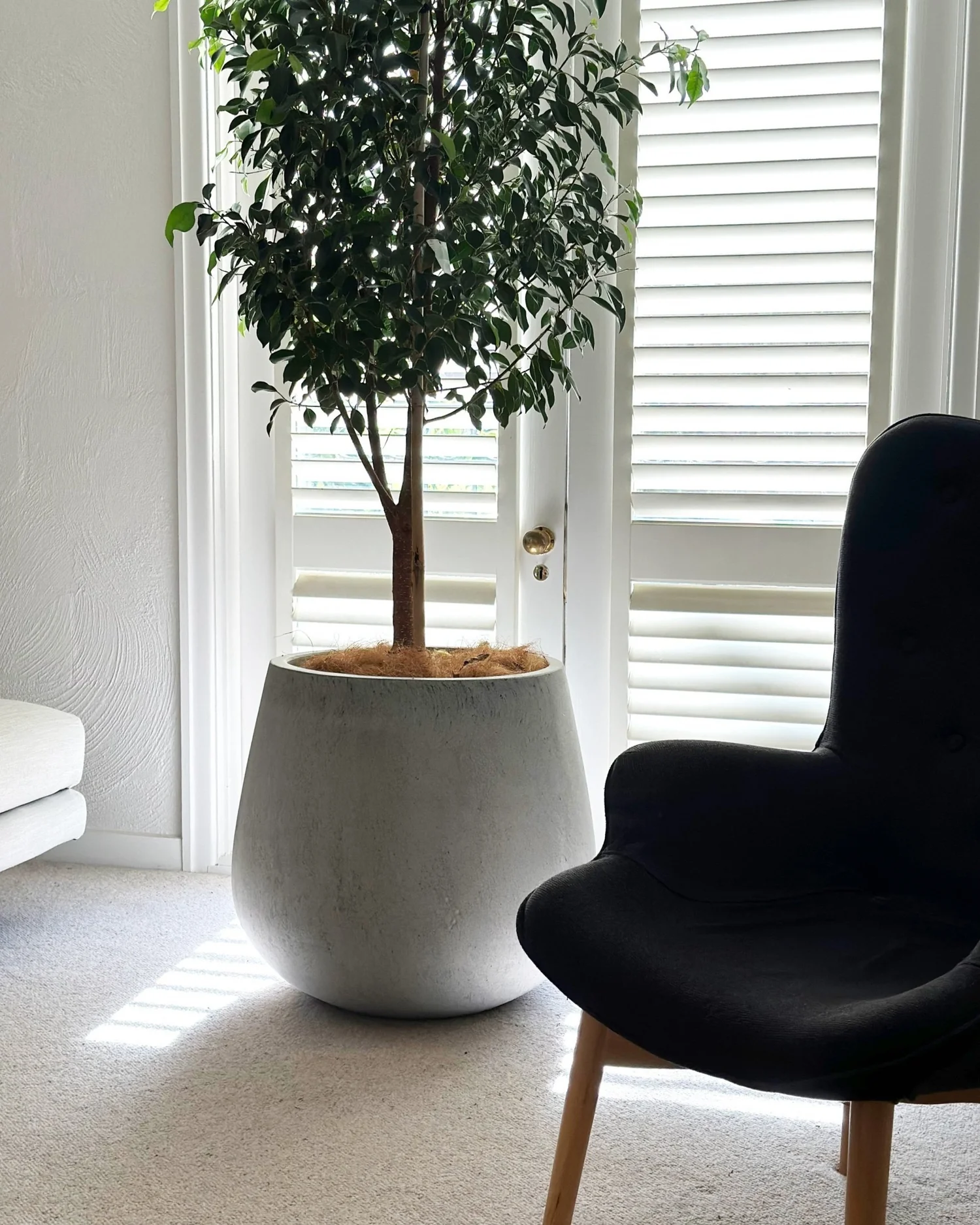 Hawthorn practice consulting rooms