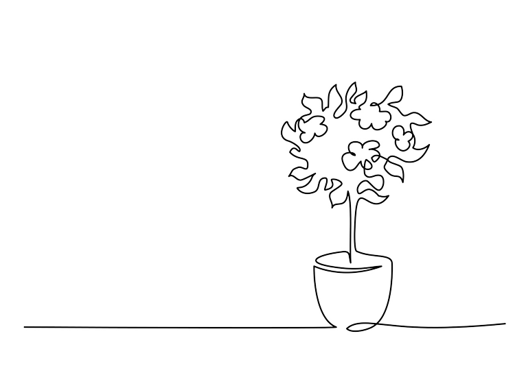 Line illustration of a potted plant
