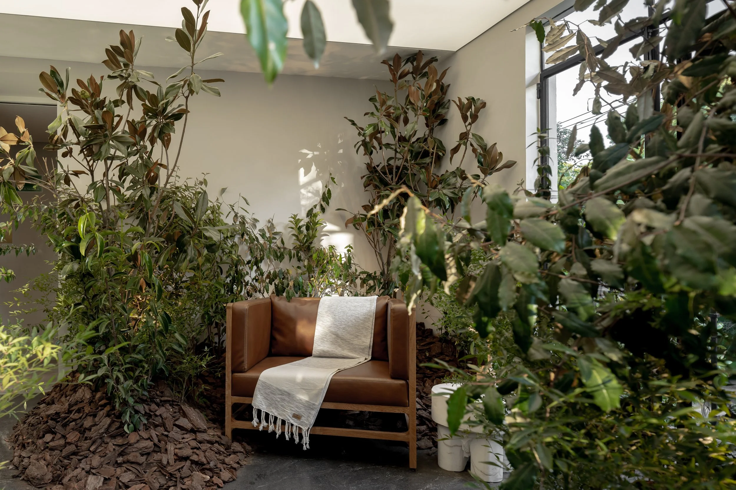 Juskani Alonso_RUINAS-Design House_Fotografía Zaickz Moz_013.jpg