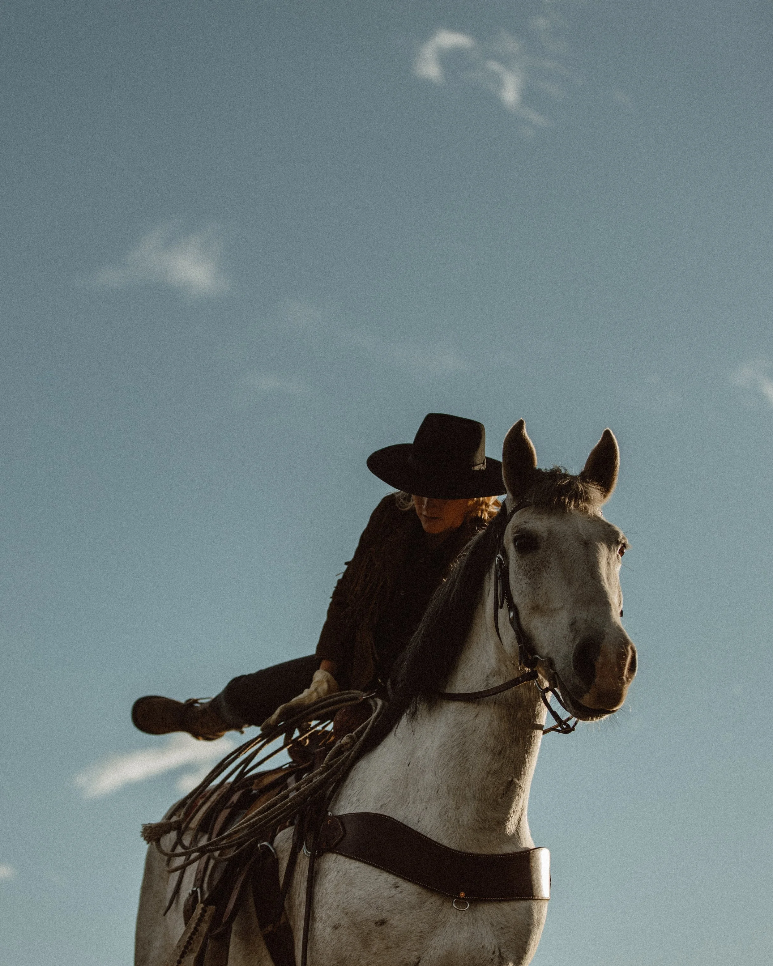 taylor-brandon-lF99TWrfIlE-unsplash (1).jpg