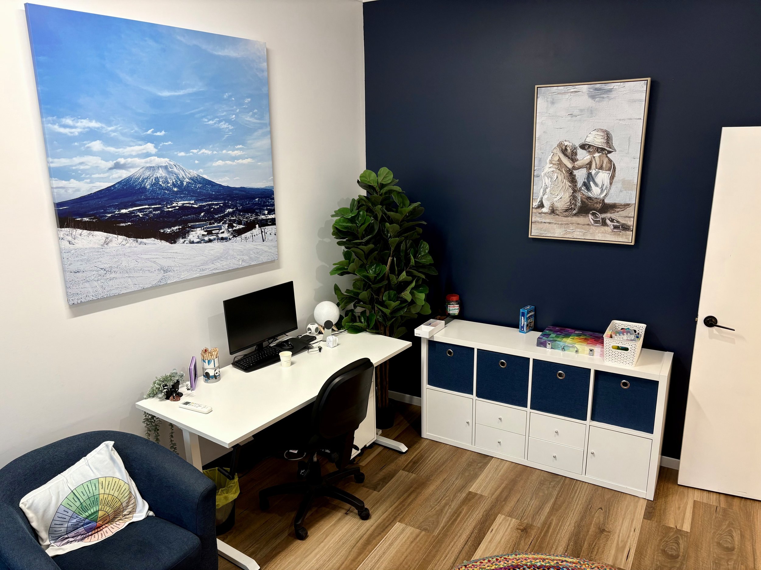 Remarkability Peregian Blue Clinic Room.jpg