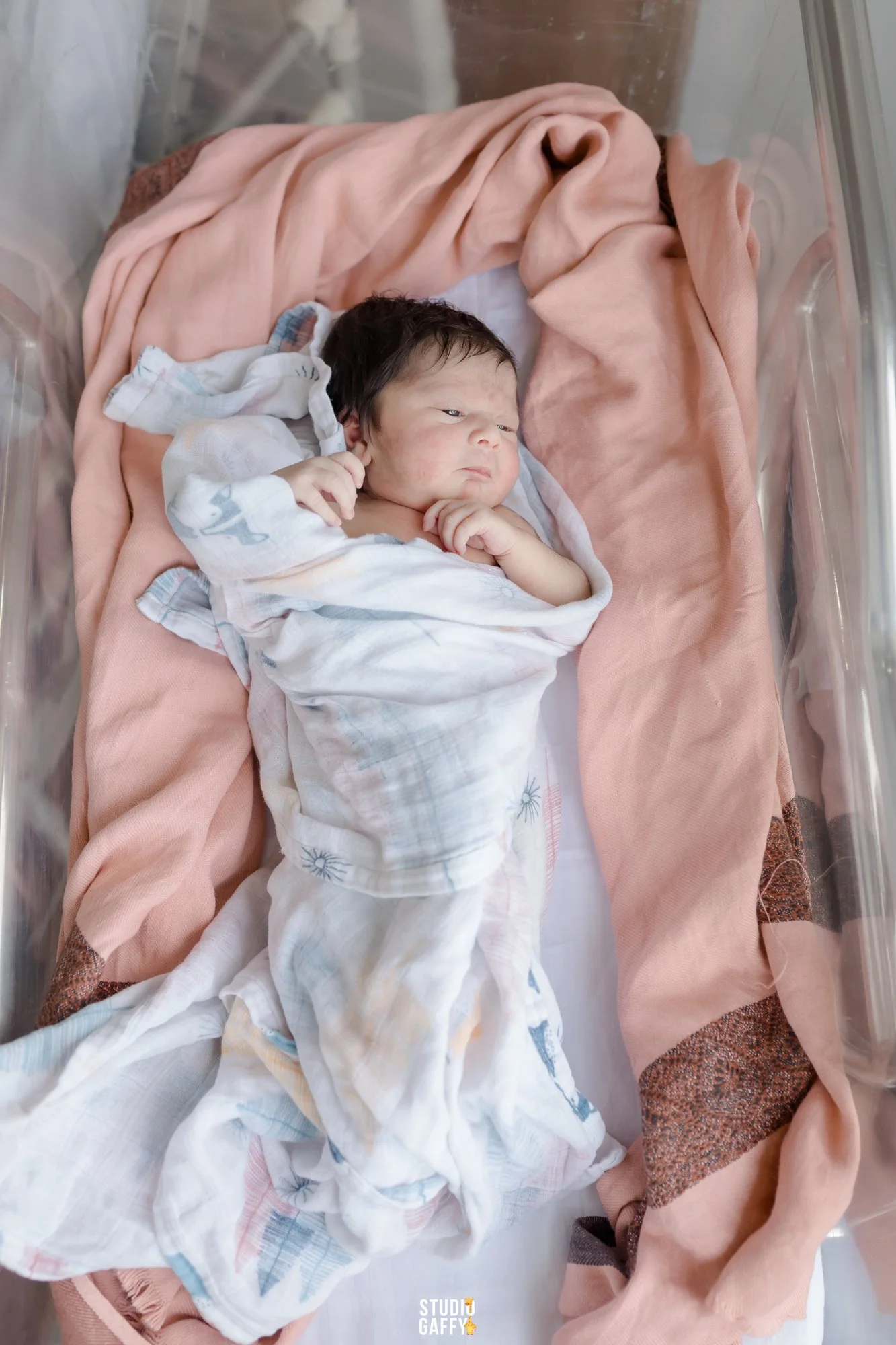 A newborn baby with dark hair lying in a clear plastic crib, wrapped in a white cloth and surrounded by pink and brown blankets.