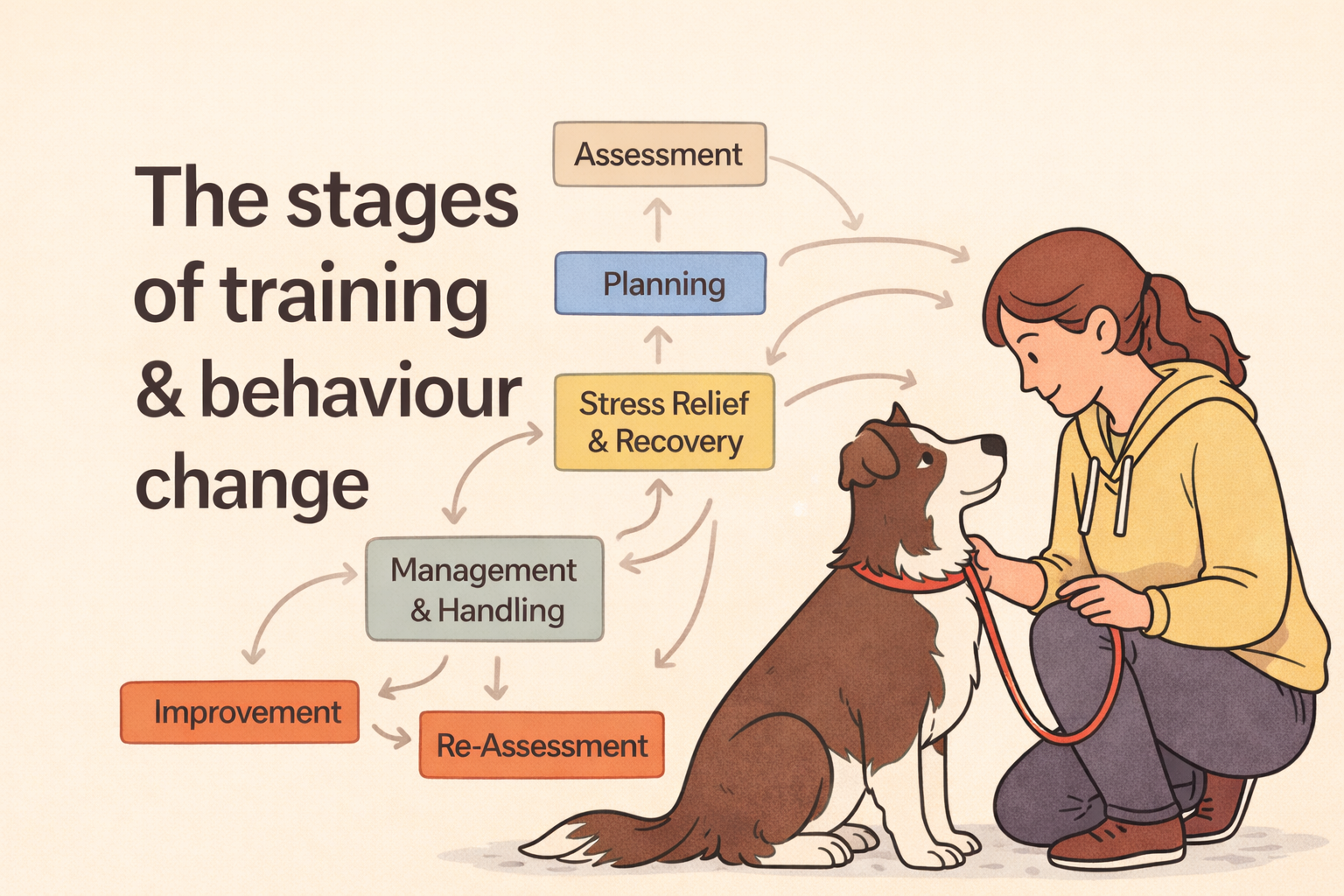 The Stages of Training: Why Progress Isn’t Linear (And That’s a Good Thing)