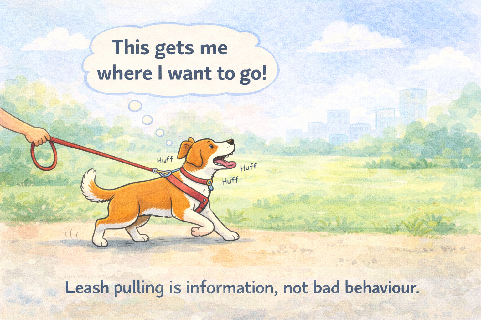 What does leash pressure mean to your dog?