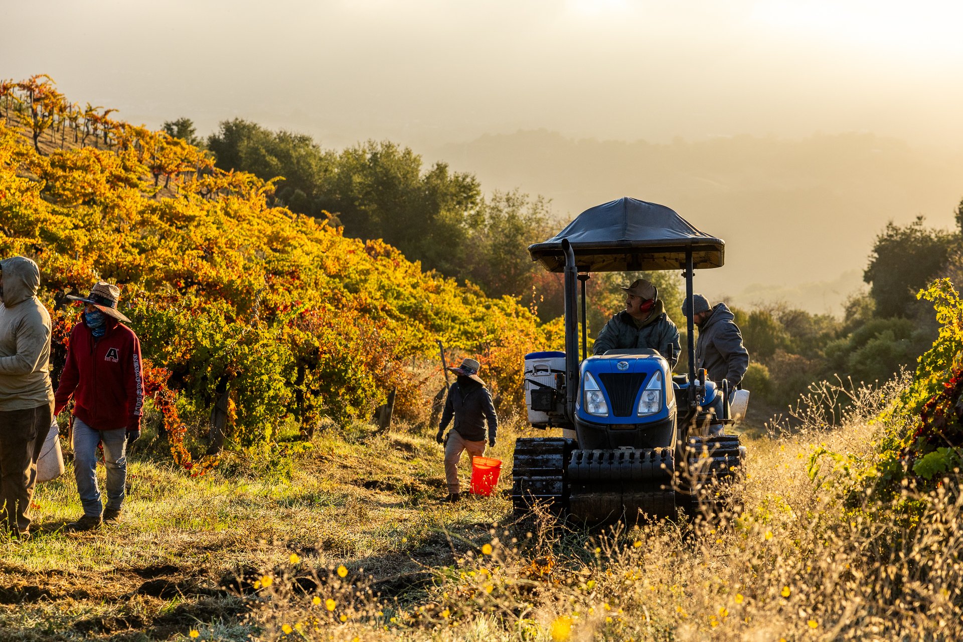 10.23.25_ridge-29.jpg