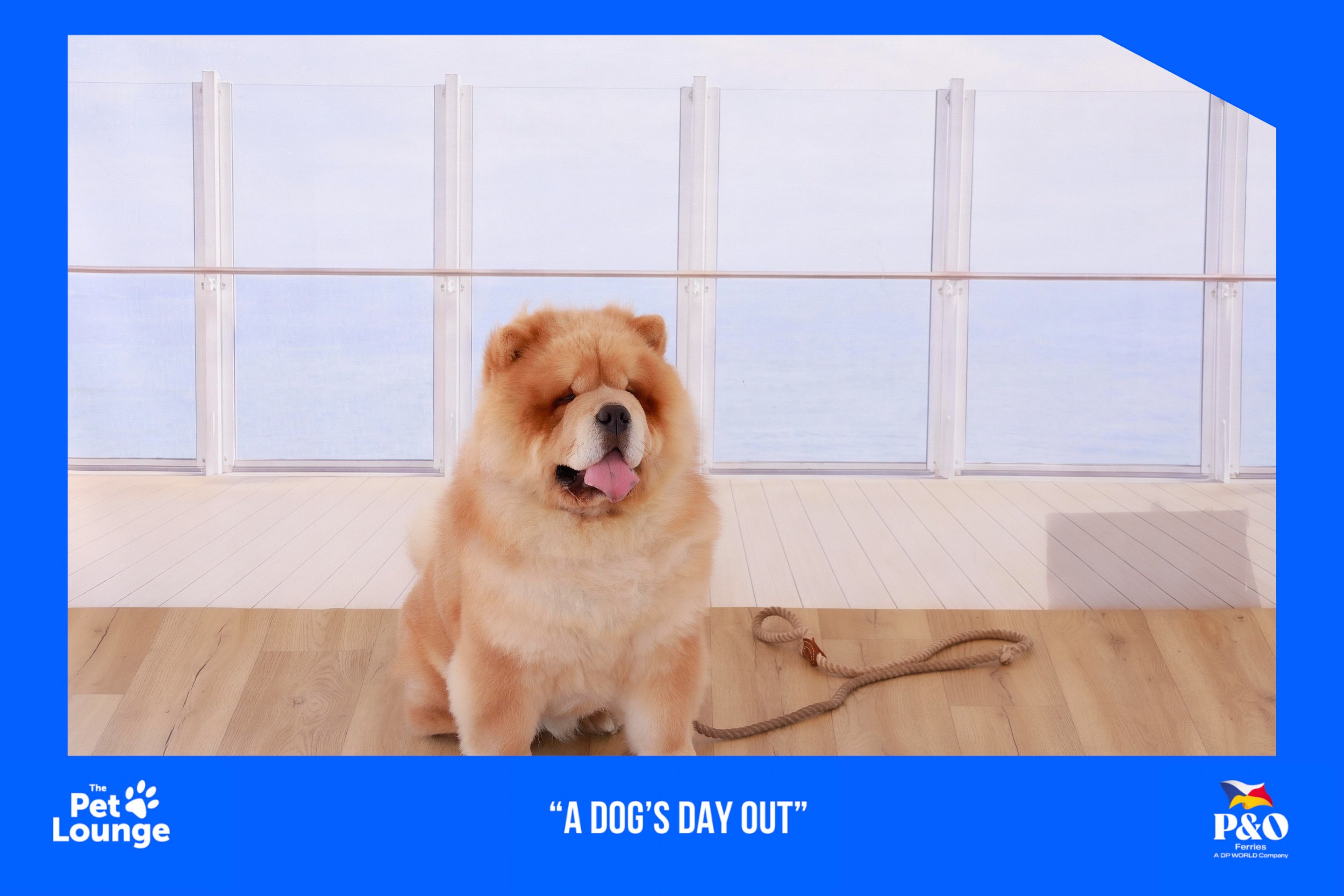 P&O - A Dog's Day Out 09.05.2026