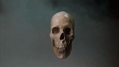 IMG_8338.gif