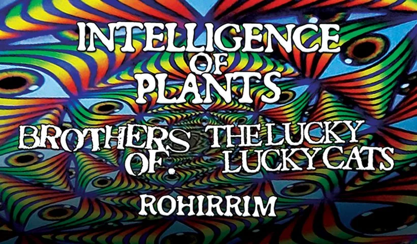 INTELLIGENCE OF PLANTS