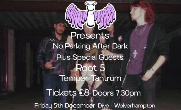 NO PARKING AFTER DARK