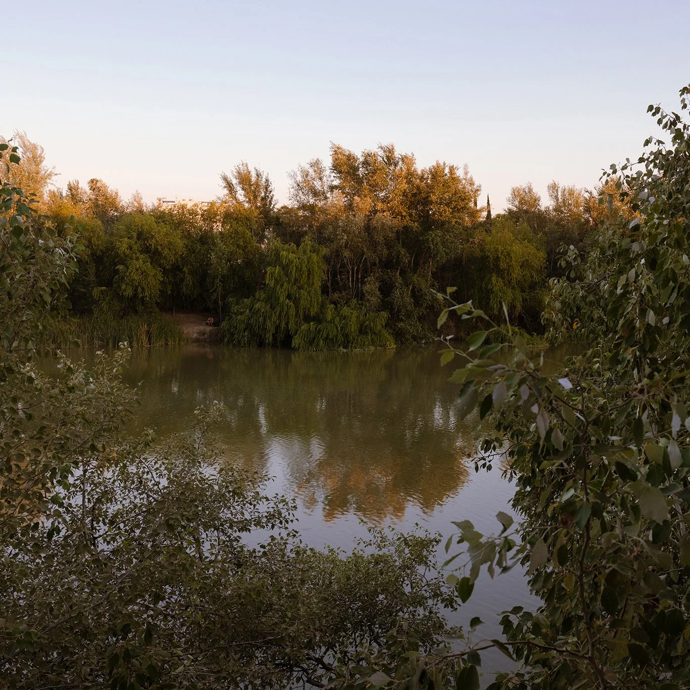 _MG_9912-2 cropped.jpg