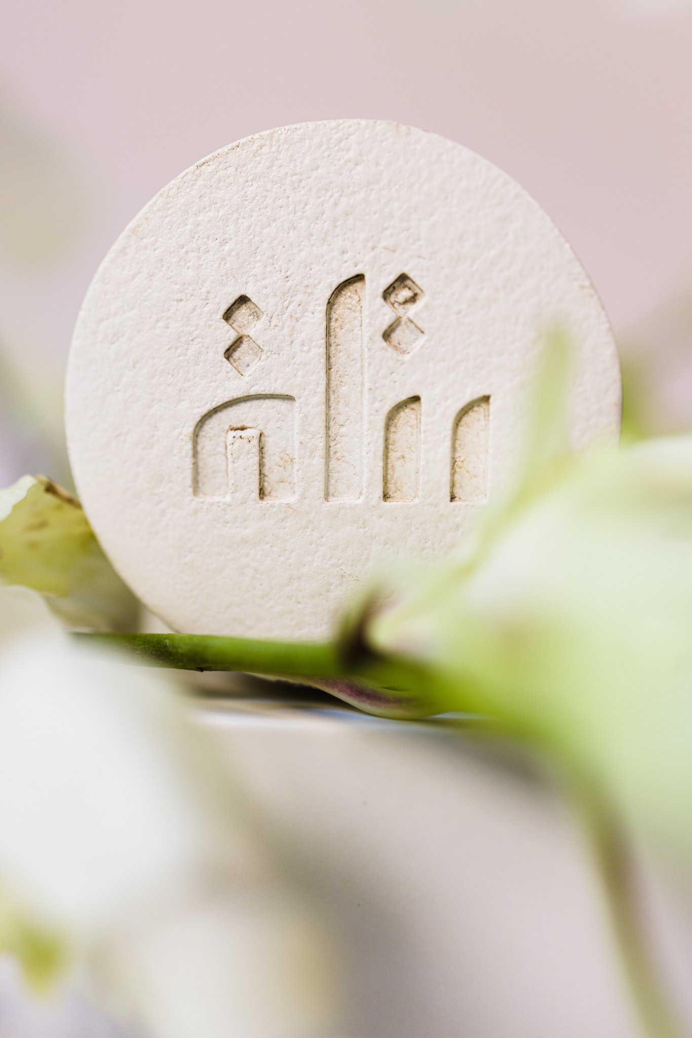 _MG_2341-Edit-2-3.jpg