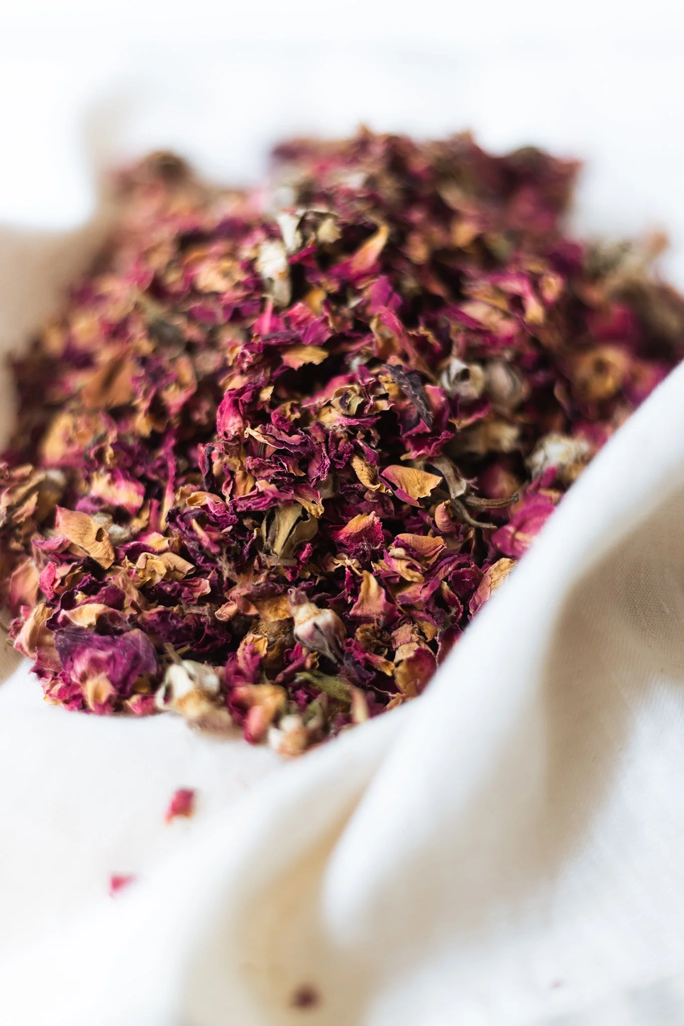 Lifestyle Omnia Magdy.jpg