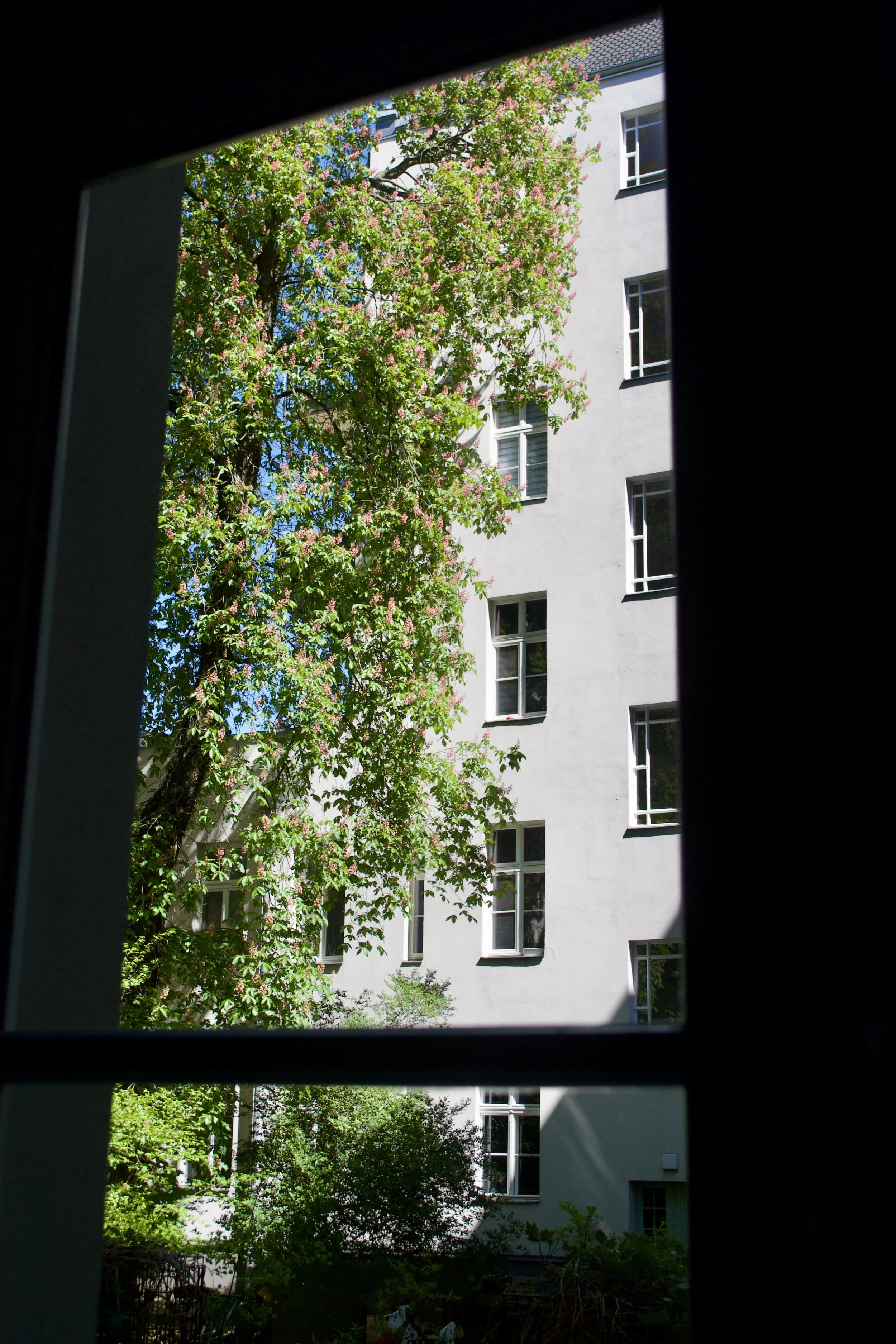 DSC_0039.jpeg