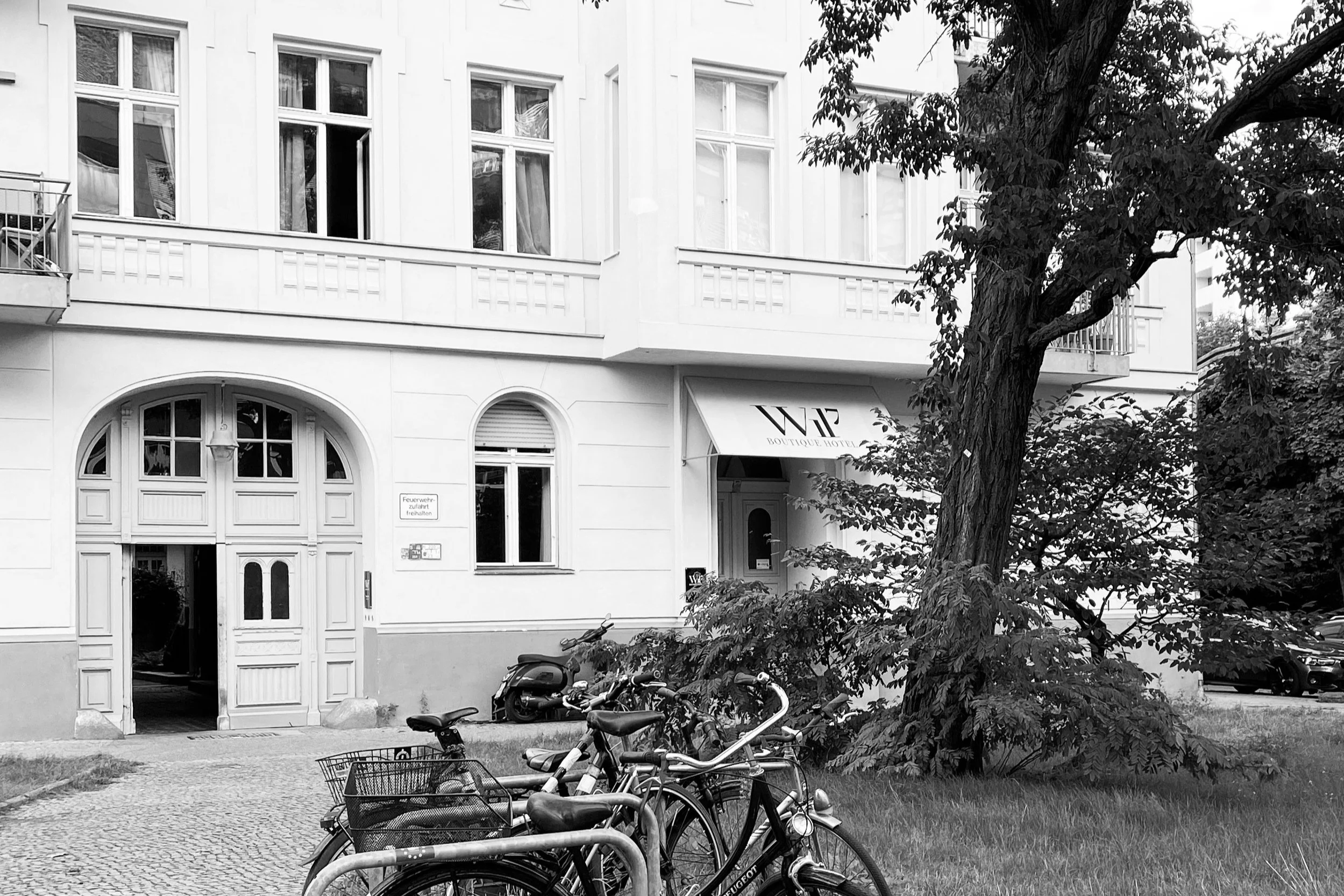 Bicycles parked near a cobblestone sidewalk in front of a white building with large windows and a boutique hotel entrance. A large tree with leafy branches partially obscures the building.