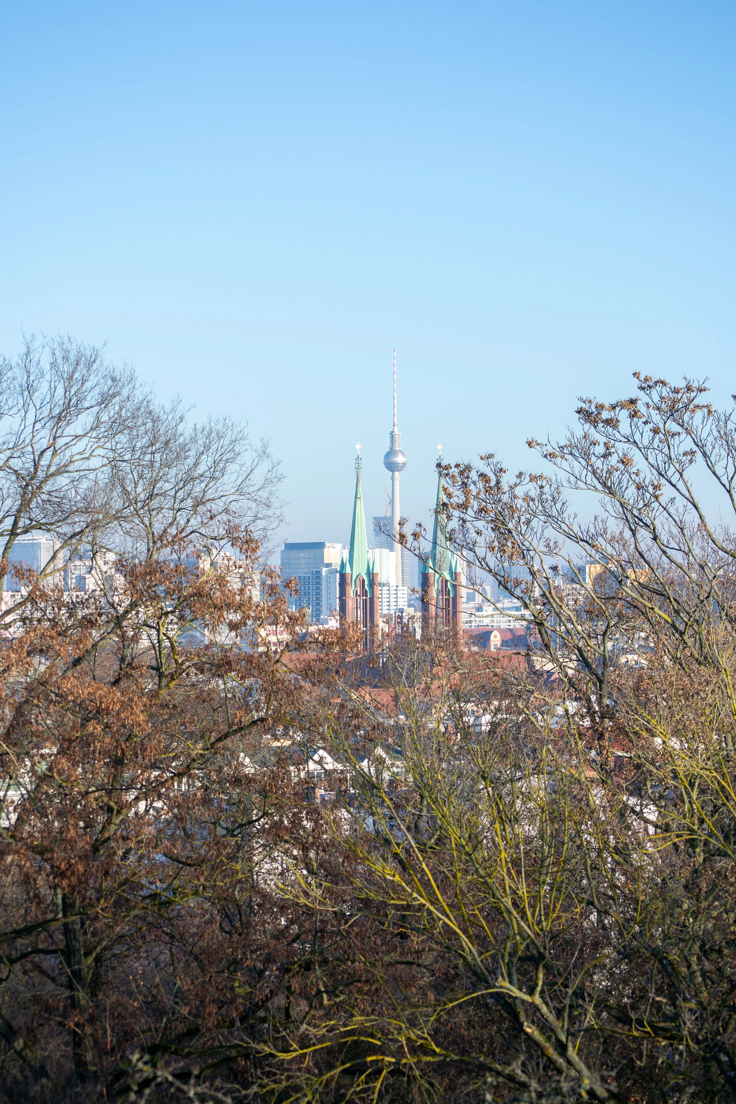 City skyline with television tower and historic church spires, trees in foreground, clear blue sky.
