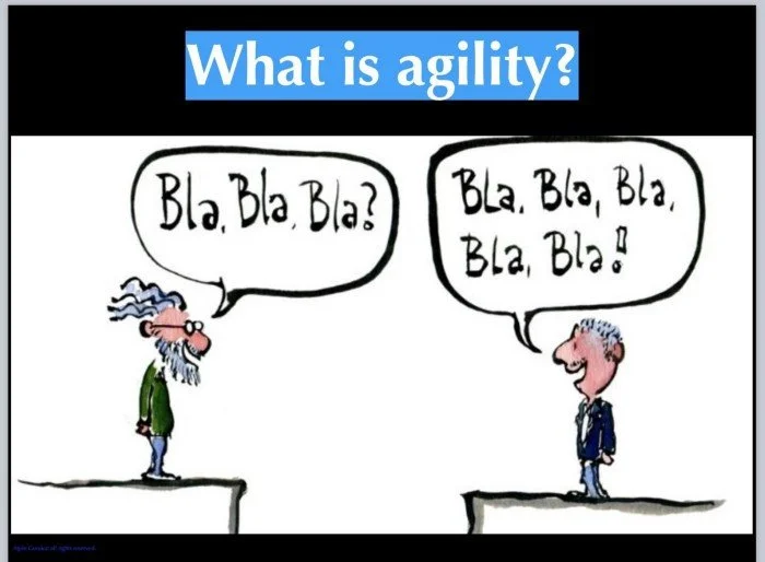 Has Agile given you agility?