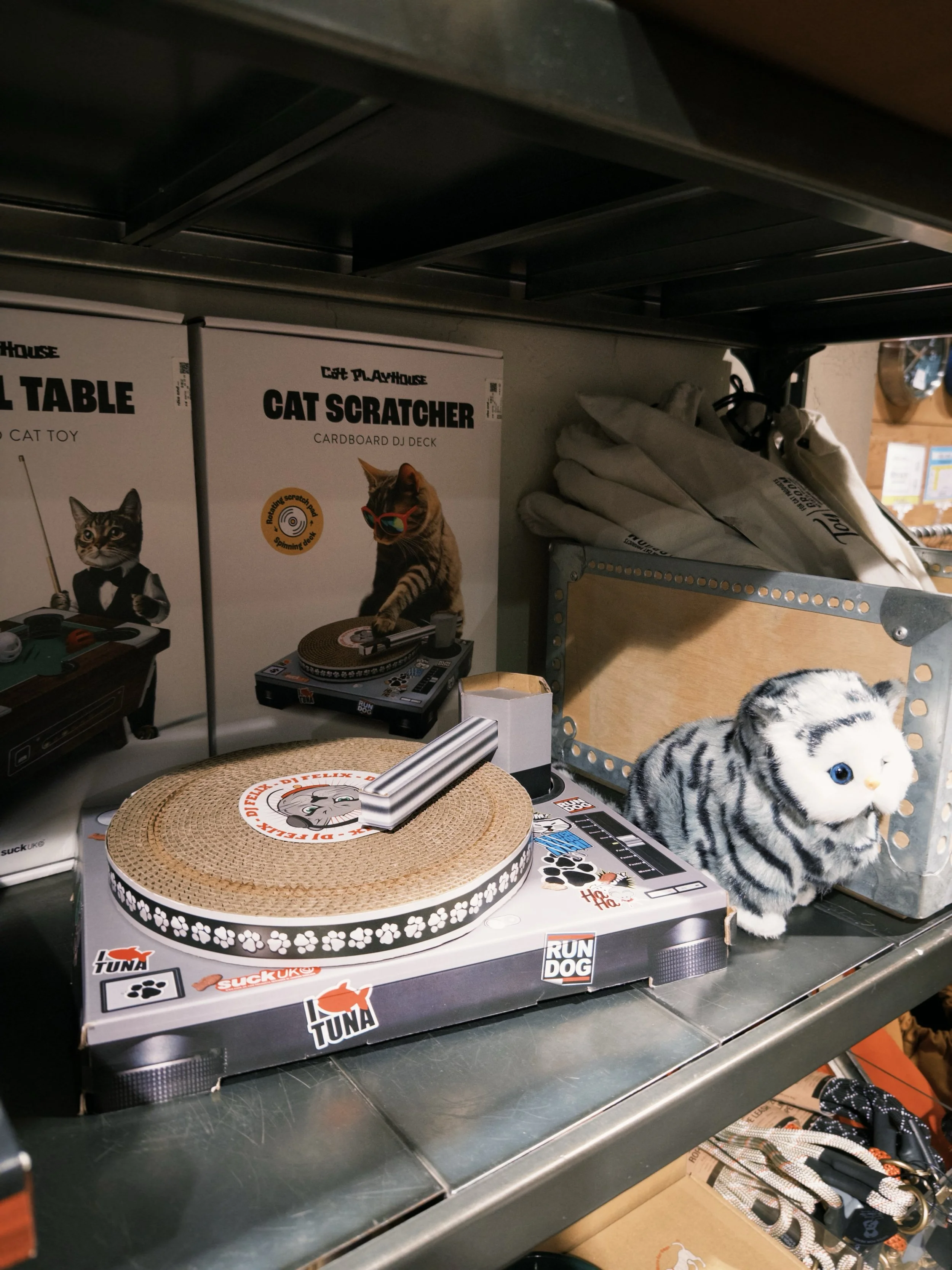 A turntable for tiny paws. lol

#catscratcher #turntable #cattoy