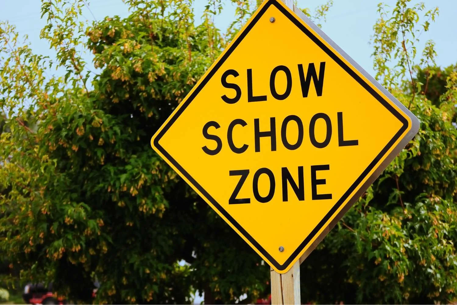 5 Steps for setting up a new classroom — Simply Spruced