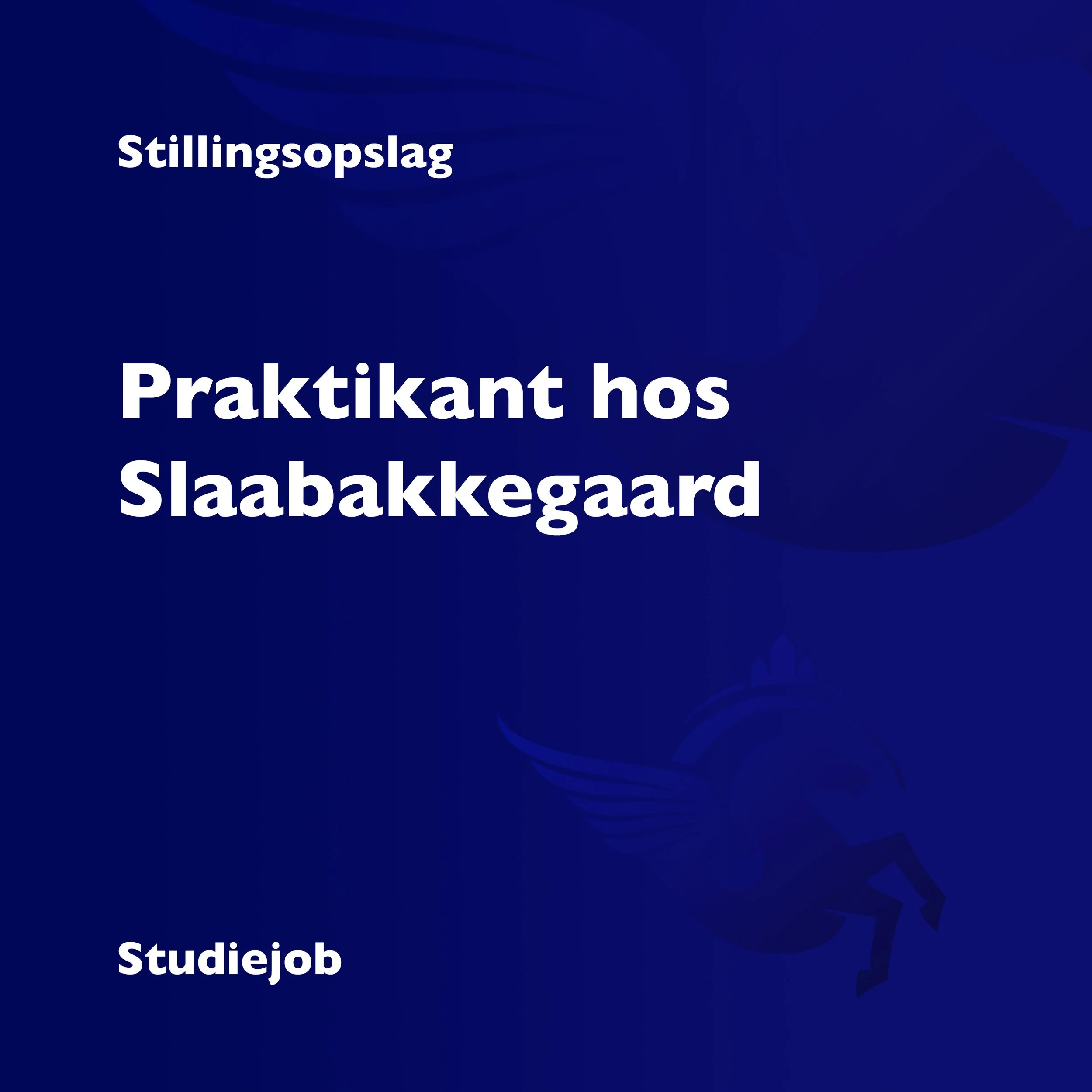 Praktik hos Slaabakkegaard